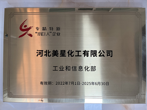 專精特新“小巨人”企業(yè)